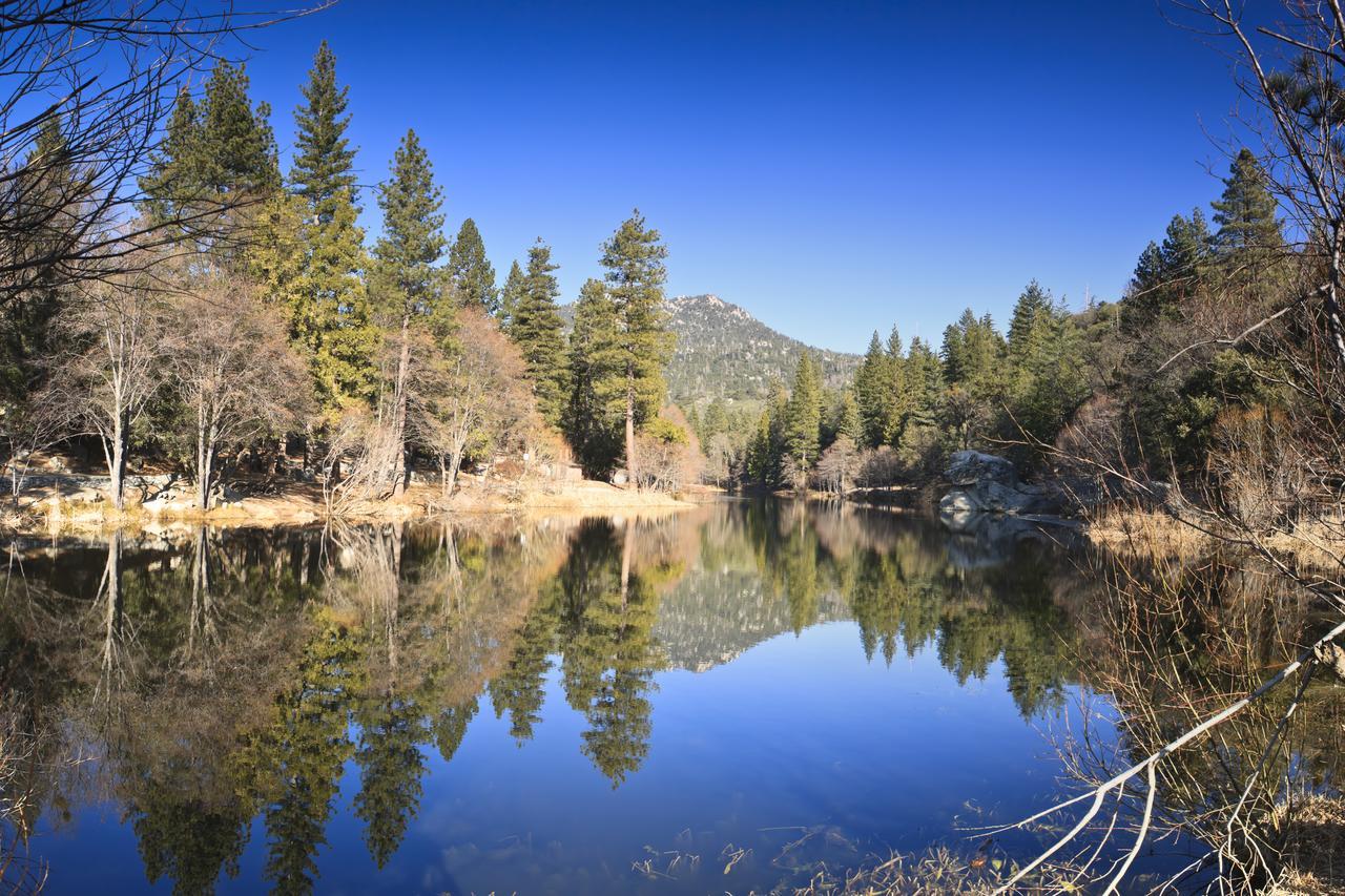 Vila Idyllwild Bunkhouse Exteriér fotografie